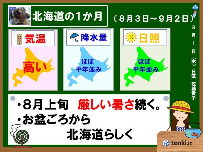 北海道の1か月 お盆ごろから北海道らしく 日直予報士 2019年08月01日 日本気象協会 Tenki Jp