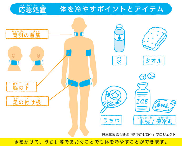 2日も熱中症に警戒を 気温はきのうと同じか更に高く 気象予報士 戸田 よしか 19年08月02日 日本気象協会 Tenki Jp