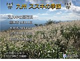 九州の高原 ススキが見ごろ