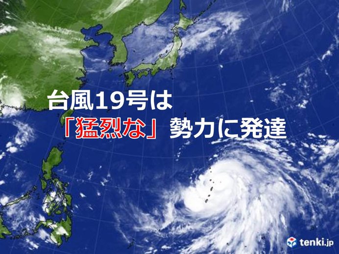 台風19号 猛烈な勢力に発達 気象予報士 日直主任 2019年10月07日 日本気象協会 Tenki Jp