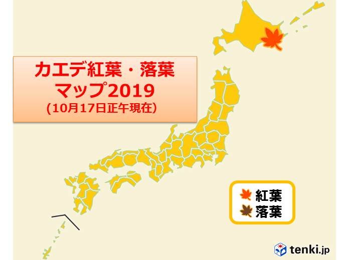 この秋全国初 釧路でカエデ紅葉 日直予報士 19年10月17日 日本気象協会 Tenki Jp