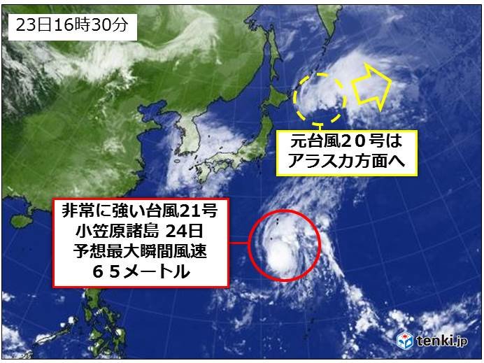 台風21号は小笠原を直撃 元号はアラスカへ 日直予報士 19年10月23日 日本気象協会 Tenki Jp