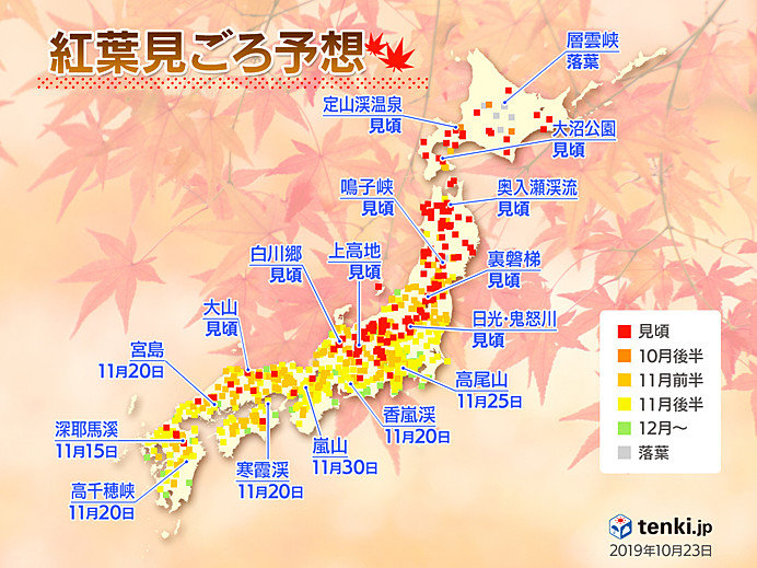 気になる紅葉の見頃は?