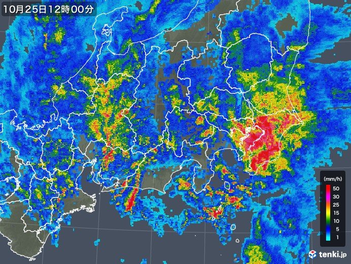 記録的な大雨