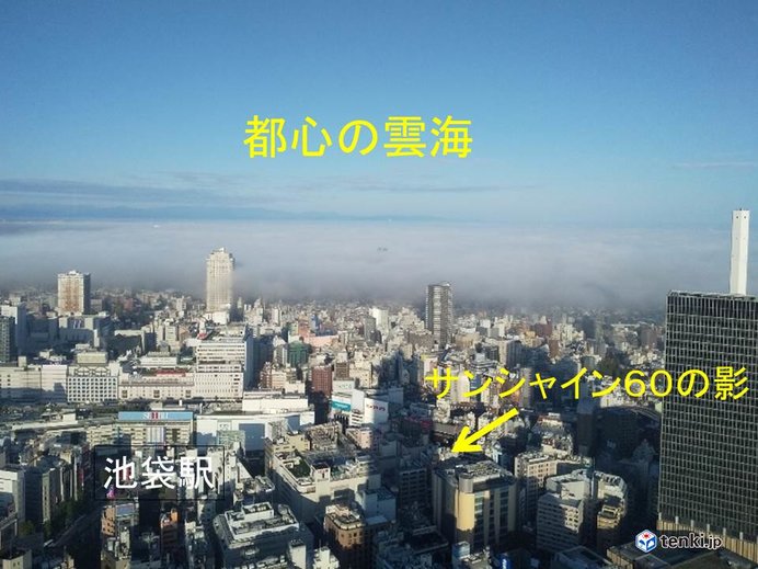 都心の雲海
