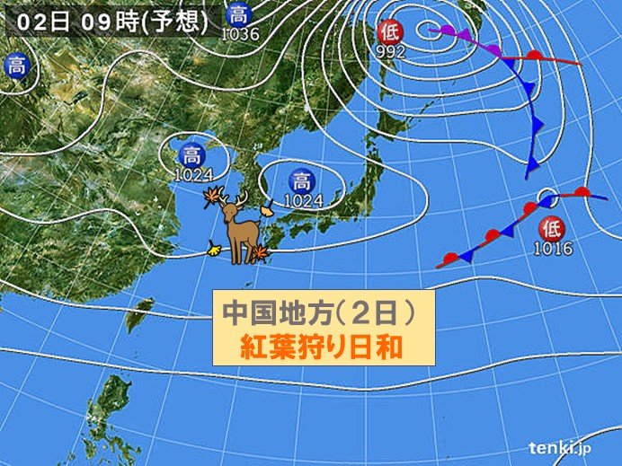 2日(土)　紅葉狩り日和