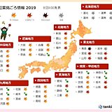 色づく秋に　関東から九州　本格的な紅葉シーズン