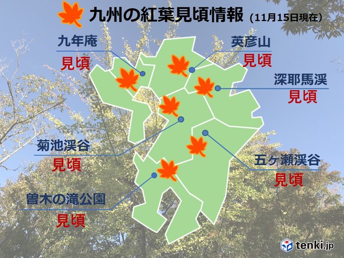 九州　週末は紅葉狩り日和