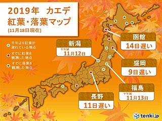 今年の紅葉はなぜ遅い?今週は寒さ戻って色付き進む