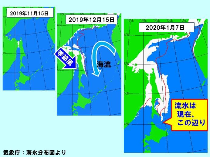 流氷は今ここに!