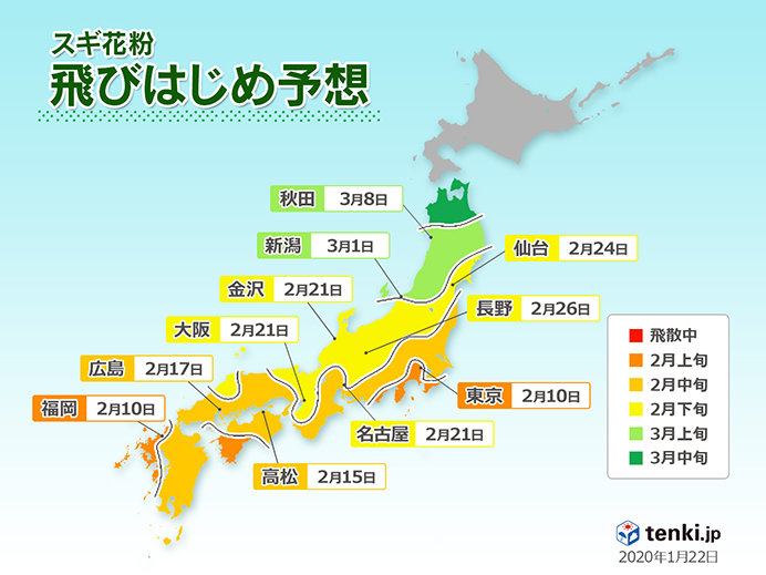 スギ花粉 来月上旬から飛び始め 東京はピーク長い 日直予報士 年01月22日 日本気象協会 Tenki Jp