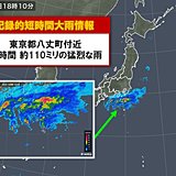 東京都八丈島で約110ミリ 記録的短時間大雨情報