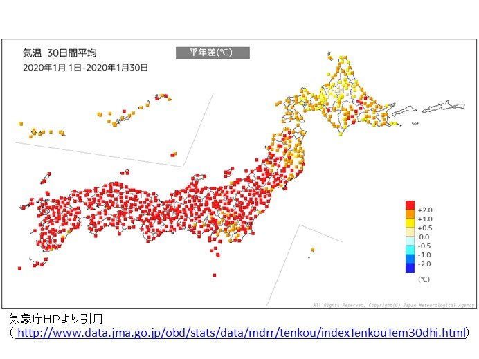 冬らしくなかった1月 2月も暖冬 雪不足のまま春へ 気象予報士 白石 圭子 年01月31日 日本気象協会 Tenki Jp