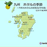 九州　ホタルの季節到来