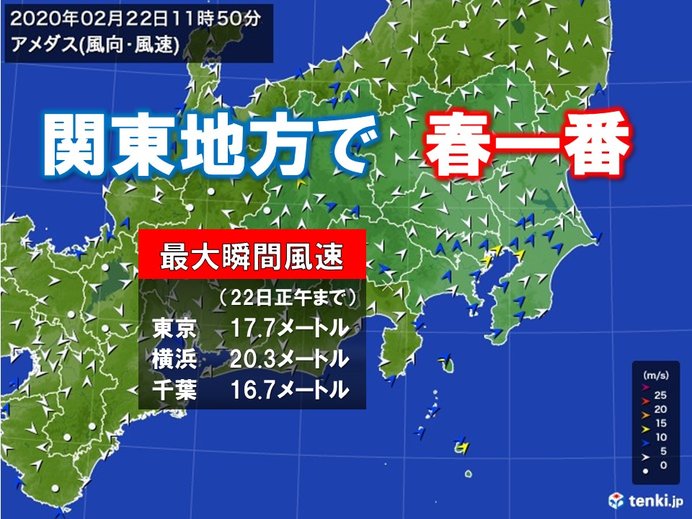 関東地方で「春一番」