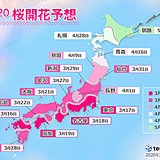 日本気象協会発表「桜開花予想」記録的な早さで開花か