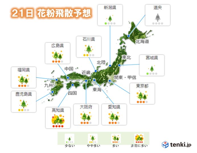 花粉対策を