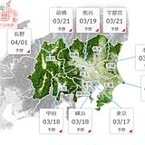 桜開花　都心3月17日予想　平年よりかなり早い