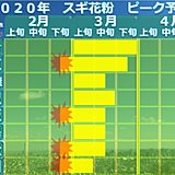 スギ花粉　そろそろ飛散ピーク突入か