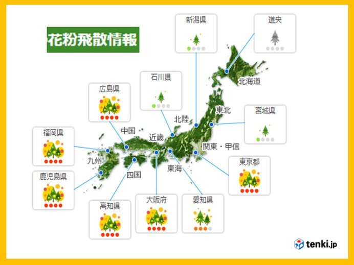 お出かけ日和でも　花粉にご注意