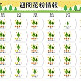 スギ花粉「非常に多い」ウィーク　九州～東北でピーク