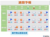 九州　あす午後から寒の戻り　農作物は遅霜対策を