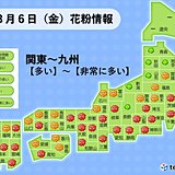 6日　晴れて暖か　きょうも花粉大量飛散