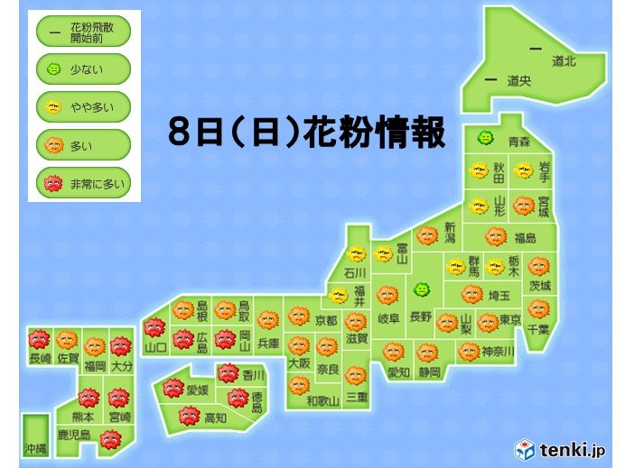 雨上がりの花粉　「非常に多い」予想