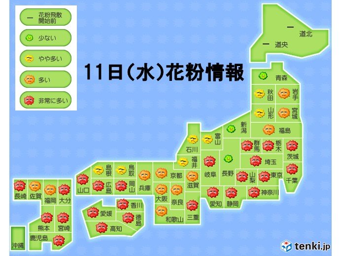 11日(水)　関東の最高気温20度予想　花粉の飛散は広く「非常に多い」