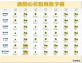 九州 花粉の飛散に注意