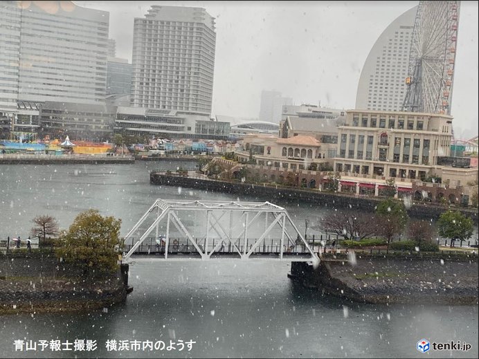 桜開花の東京都心など関東で広く雪　雪積もる?
