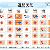 週間　日ごとに暖かく　春の陽気に誘われ一気に開花か