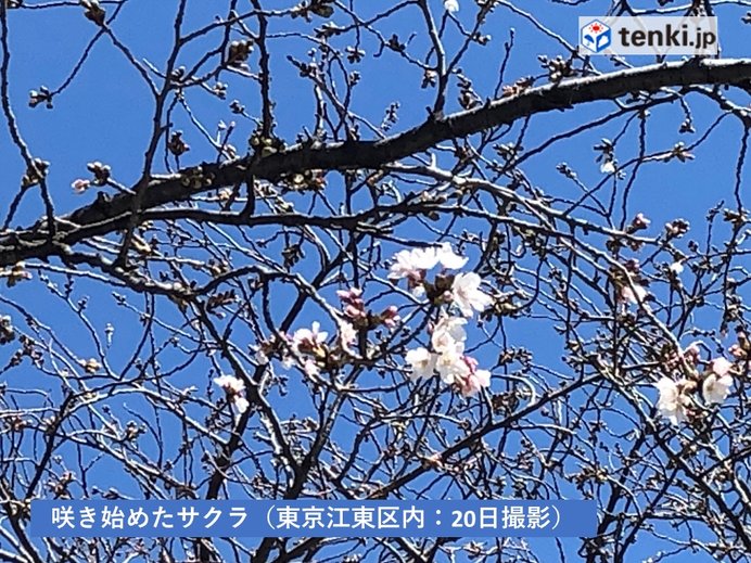 21日　桜咲き進む陽気　北海道から東北は荒れる