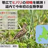 帯広でヒバリ初鳴　北海道で今年初の生物季節に