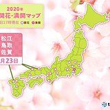 松江・鳥取・佐賀も桜開花　桜以外の花も続々