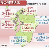 九州の桜前線　北から南へ　来週は見頃に