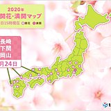 長崎、下関、岡山で桜開花　東京の桜も見ごろ続く