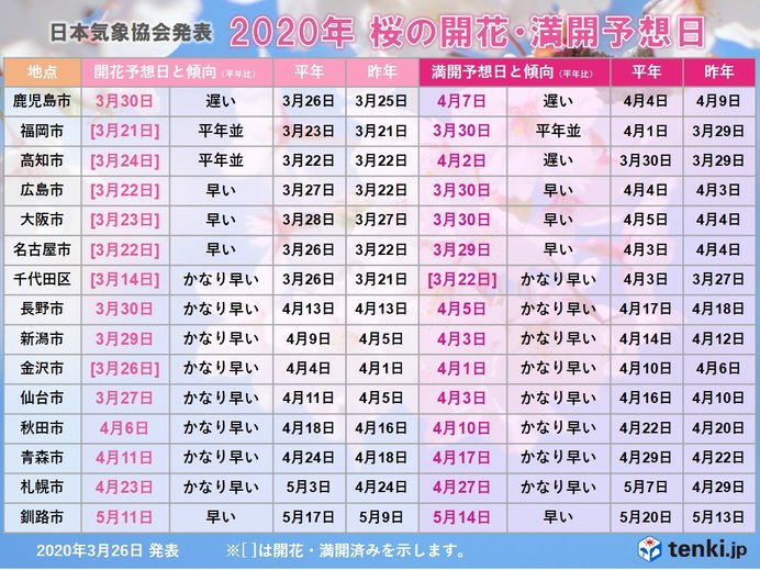 開花の傾向