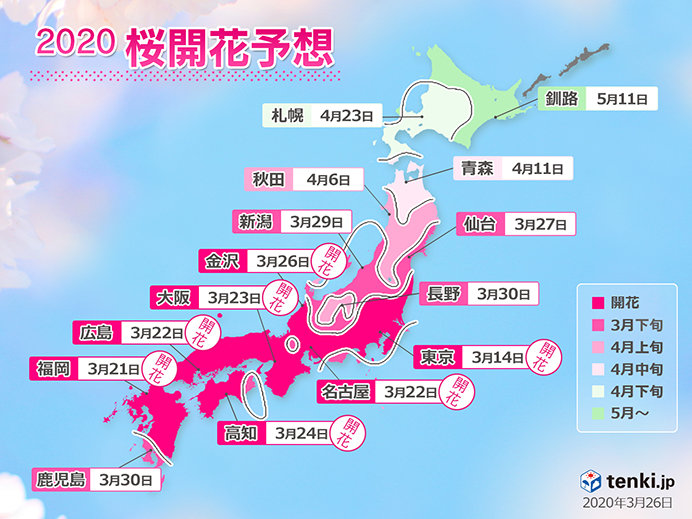 桜の開花 満開予想 記録的早さも 日本気象協会発表 日直予報士 年03月26日 日本気象協会 Tenki Jp