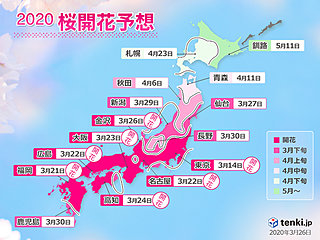桜の開花・満開予想　記録的早さも　日本気象協会発表