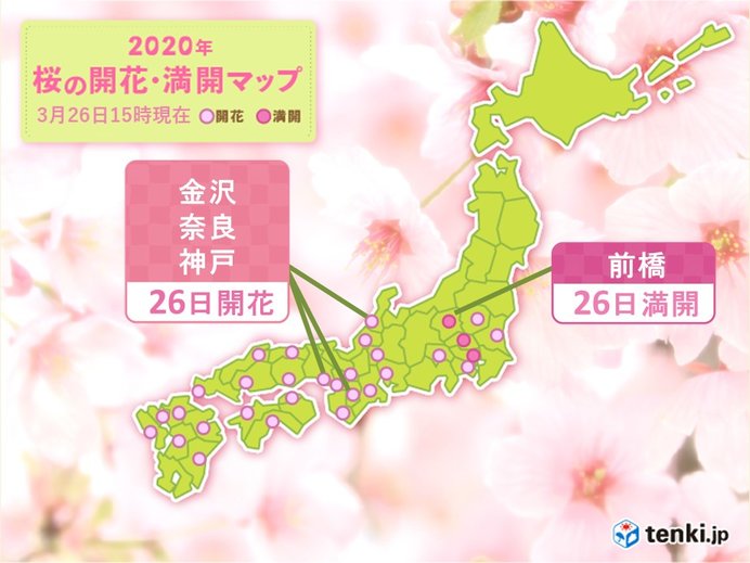 気温上昇　金沢などで桜咲く