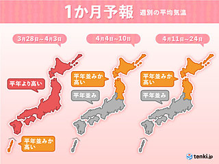 高温傾向ようやく落ち着く?　1か月予報