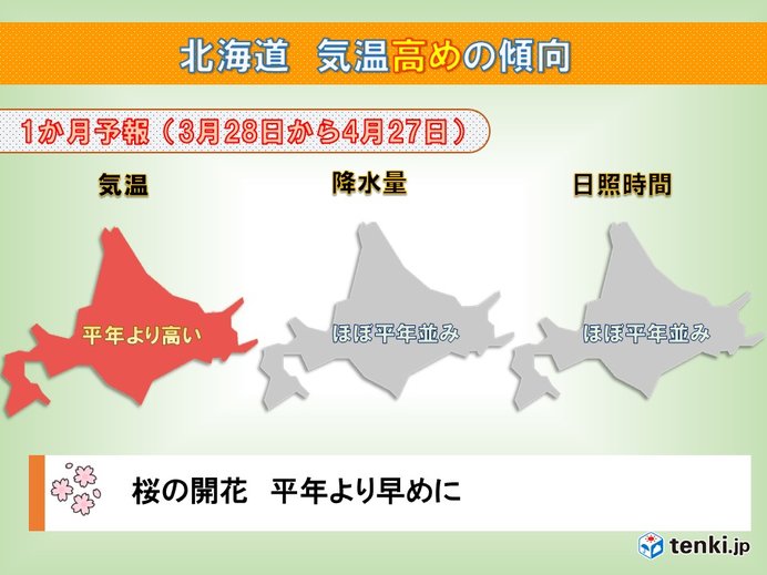 北海道の1か月　桜の開花　後押しする気温に