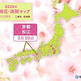 ついに西日本でも満開に　京都・松江から桜満開の便り