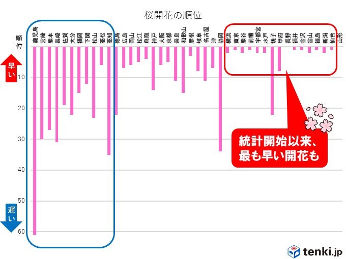 関東周辺は記録的に早い開花も　鹿児島ようやく桜開花