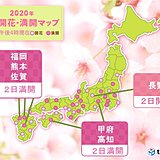 長野で桜開花　満開の便りも続々と