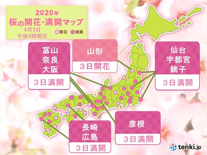初夏の陽気　仙台の桜は過去最も早く満開　春の便り続々