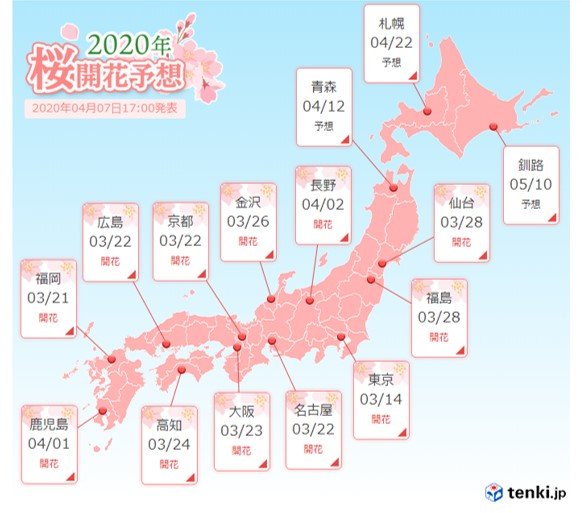 これから桜前線はさらに北上