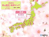 桜前線は東北北部に到達　秋田から開花のたより