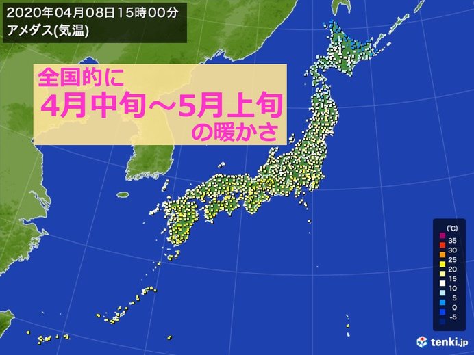 全国的に暖かい一日　南では桜が満開に